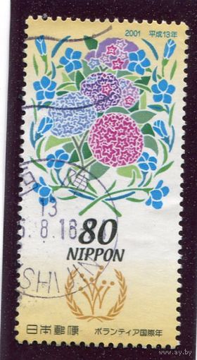 Япония. Международный год волонтера