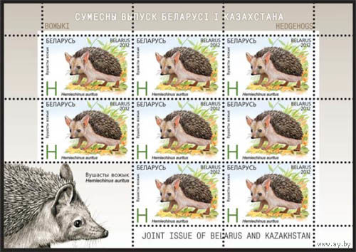 Беларусь. 2012. Ежи. Листы