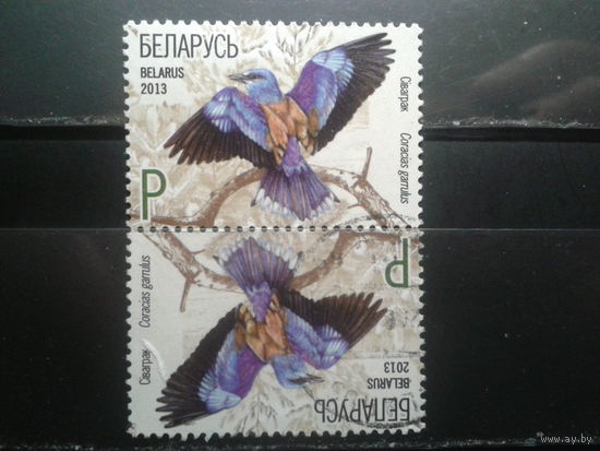 2013 Красная книга, сизоворонка Тет-беш