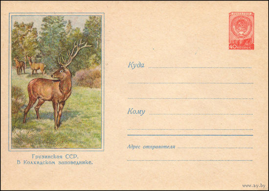 Художественный маркированный конверт СССР N 566 (18.11.1957) Грузинская ССР. В Колхидском заповеднике.