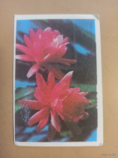 Календарь 1986 Цветы