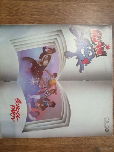 Виниловая пластинка