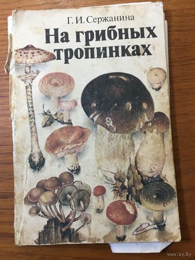 "На Грибных Тропинках