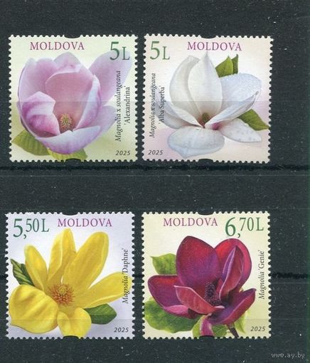 Молдова 2025, (939) Флора. Цветы. Магнолия. Flora. Flowers. Magnolia, 4 марки **