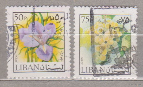 Цветы флора  Ливан 1973 год лот 1026