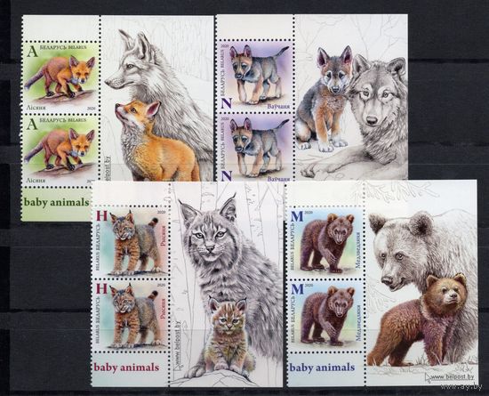 Беларусь 2020 .Фауна.Волк,лиса,медведь,рысь 8 марок+купоны (1061)