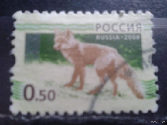 Россия 2008 Стандарт , лис 50 коп