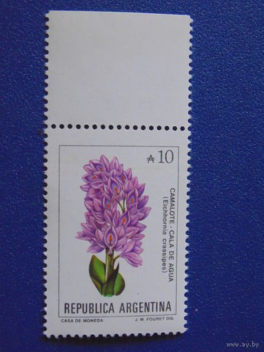 Аргентина. Цветы.