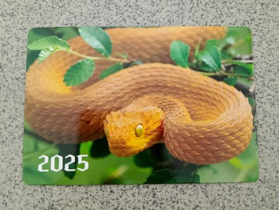 Календарик карманный 2025 шершавая древесная гадюка. Фауна