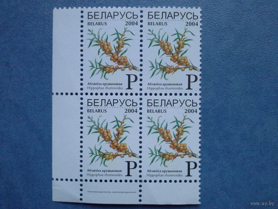 Беларусь 2004. Квартблок угловой. будет правый нижний