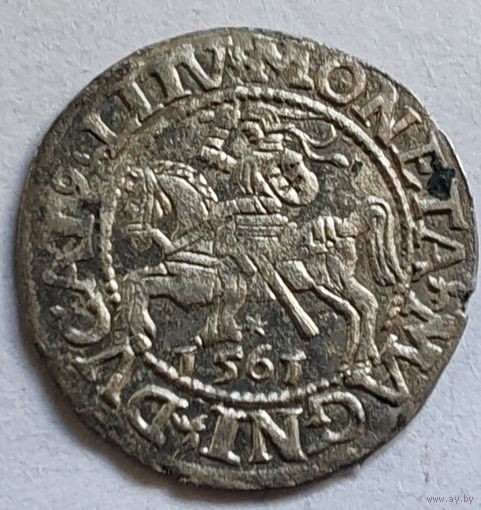Полугрош 1561 Сигизмунд Август