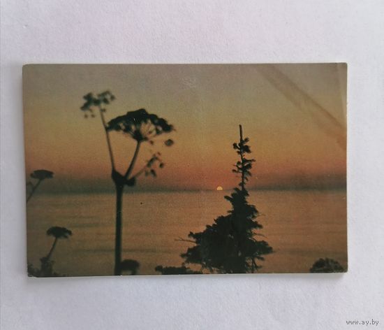 Карманный календарик 1981 г.