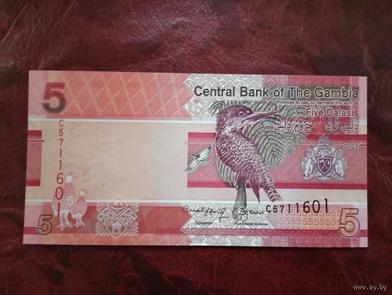 5 даласи Гамбия 2023 г.