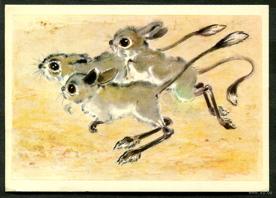 Тушканчики. Худ. Л. Гамбургер. 1977