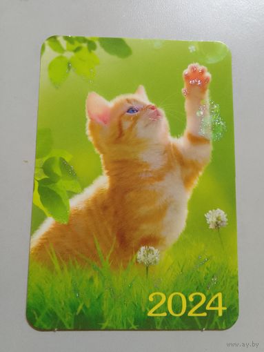 Карманный календарик. Котик. 2024 год