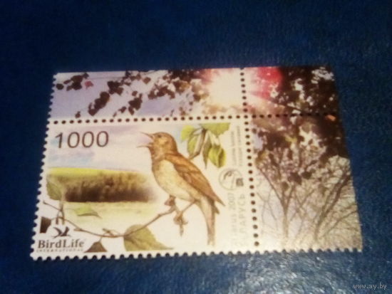 Беларусь 2007 соловей