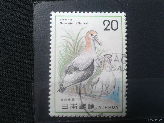 Япония, 1975. Альбатрос