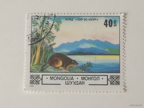 Монголия 1982. Животные и ландшафты