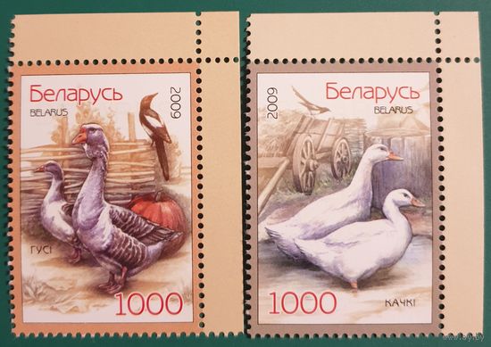 2009 Домашние птицы Беларусь