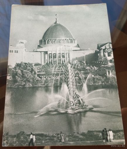 1955 год Москва ВСХВ Фонтан Колос