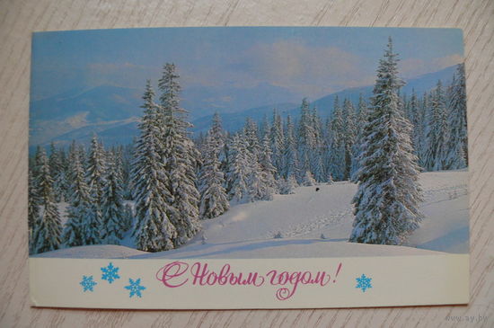 С Новым годом! 1981, двойная, подписана.
