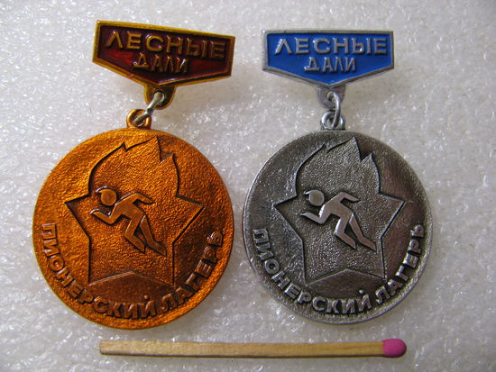 Знак. Пионерский лагерь "Лесные дали". цена за 1 шт.