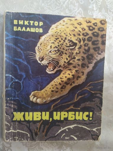 Живи ирбис/019