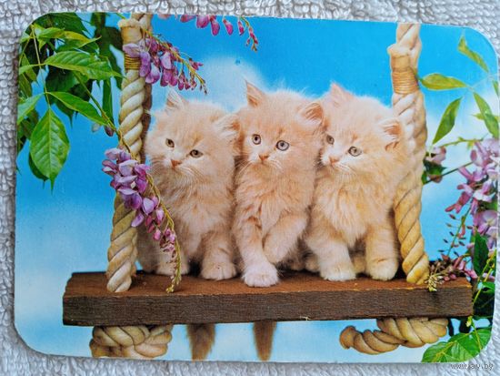 Календарики. Испания. Кошки