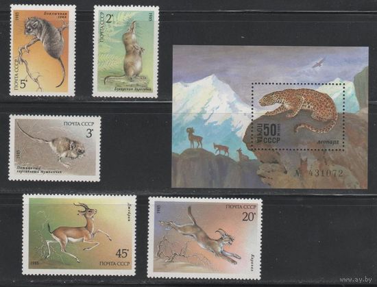Марки СССР 1985 год.  5537-5542. Животные. Полная серия из 5 марок+ 1 блок. Чистые. 5537-5542.