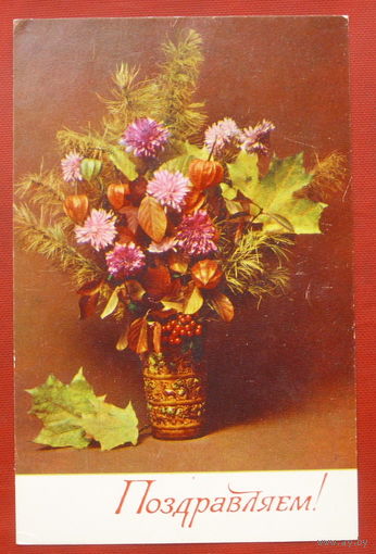 Поздравляем! Чистая. 1977 года. Фото Стейнерта. 1899.