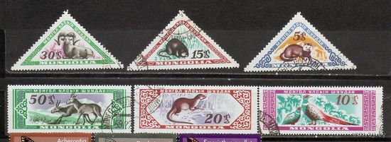 ФФ2 Монголия Фауна гаш