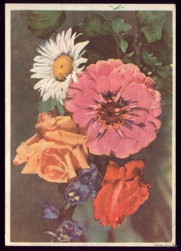 1958 год Г.Самсонов