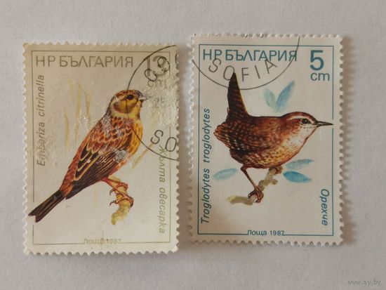 Две марки из серии "Певчие птицы" - Крапивник (Troglodytes troglodytes) и Обыкновенная овсянка (Emberiza citrinella)