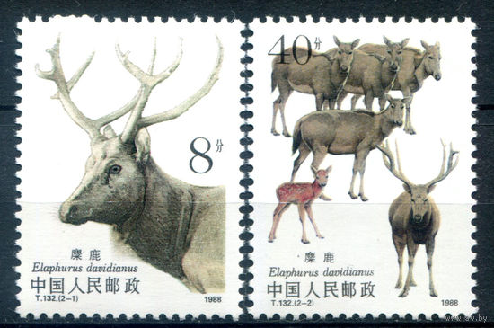 Китай - 1988г. - олени - 2 марки - полная серия, MNH [Mi 2213-2214]. #3-WB-96-A-2