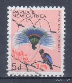 [1380] Папуа Новая Гвинея 1964. Фауна.Райские птицы. Гашеная марка.
