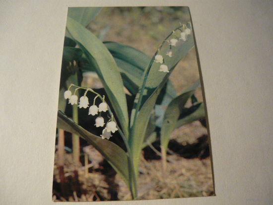 1990