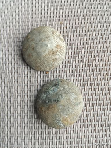 Две пуговицы Германия с рубля!