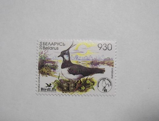 Марки РБ. Птица года. Чибис. 1м.