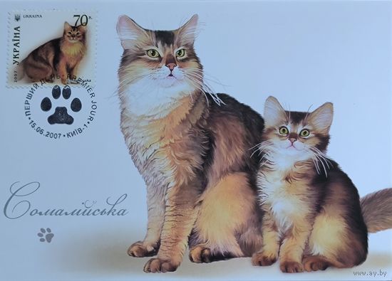 Почтовая карточка