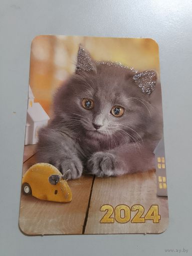 Карманный календарик. Котик. 2024 год
