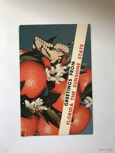 Открытка винтажная 1971 год Greetings from Florida The sunshine state