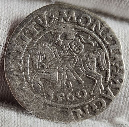 Полугрош 1/2 гроша 1560 года, Сигизмунд II, Литва, ХОРОШИЙ!