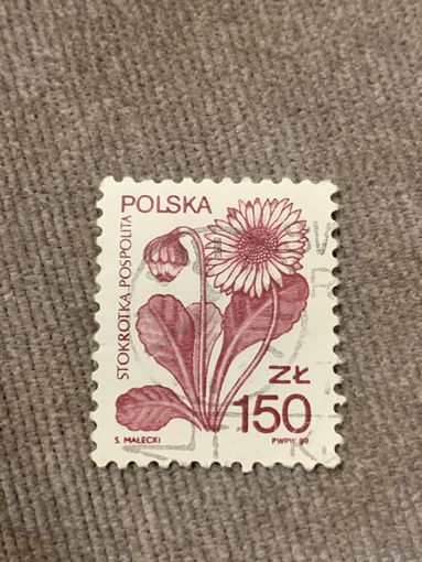 Польша 1989. Цветы. Stokrotka Pospolita. Марка из серии