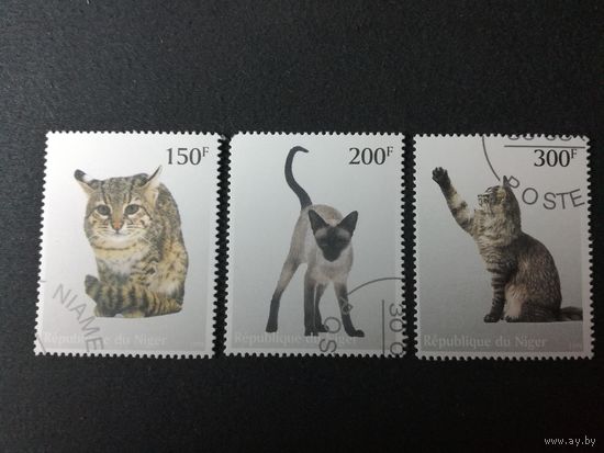 Нигер 1998. Коты