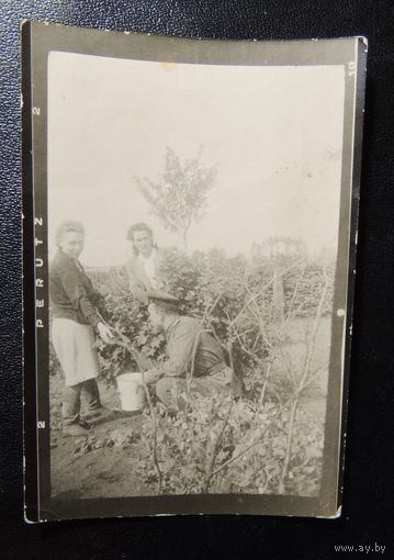 Советский офицер с немками, Германия, 1946 г.