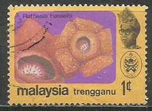 Тренгану. Цветы. Раффлезия. 1979г. Mi#104.