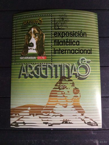 Никарагуа. 1985 г. Собака.