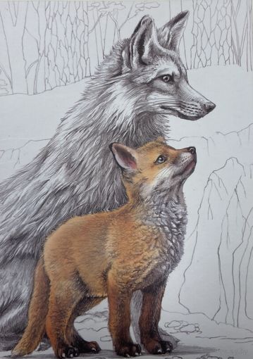 Открытка Лиса и лисенок