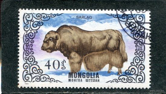 Монголия. Фауна