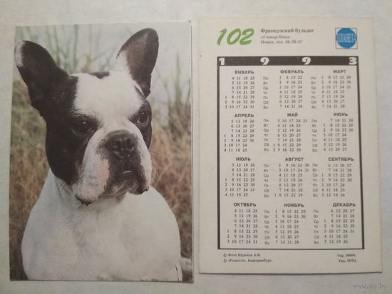 Карманный календарик. Собака.1993 год
